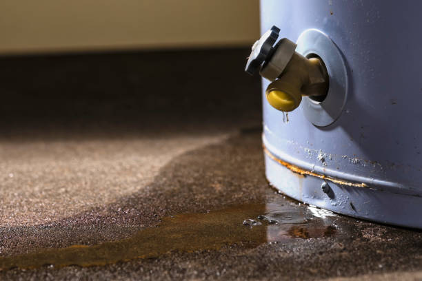 Best Water damage restoration near me  in Enterprise, OR