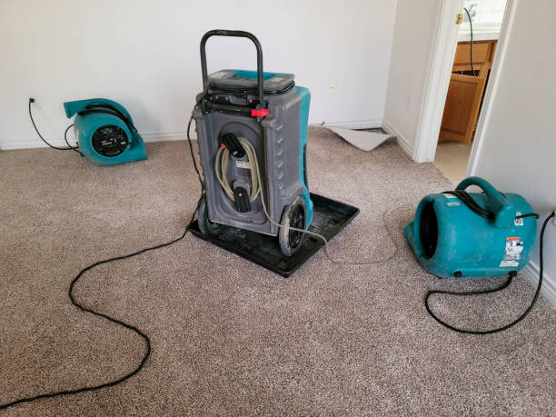 Best Carpet water damage restoration  in Enterprise, OR