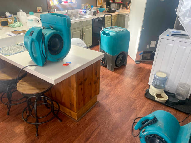 Best Carpet water damage restoration  in Enterprise, OR