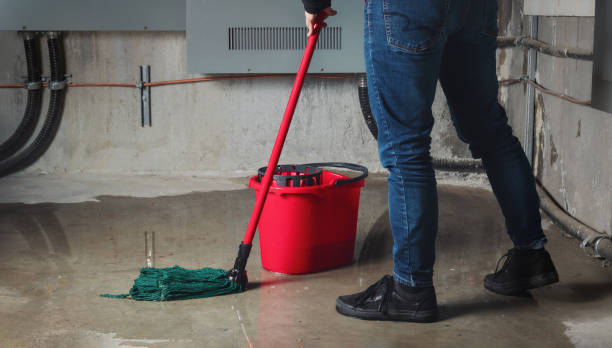 Best Water damage restoration mold remediation  in Enterprise, OR