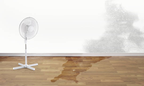 Best Emergency water damage restoration  in Enterprise, OR