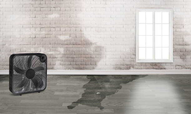 Best 24-hour water damage restoration  in Enterprise, OR