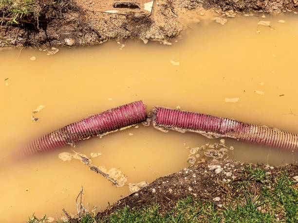 Carpet water damage restoration in Enterprise, OR