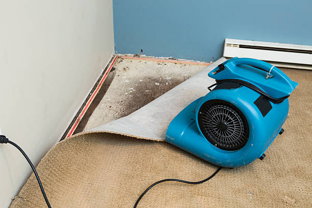 Best Water damage restoration near me  in Enterprise, OR